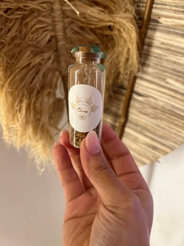 SPELL JAR -MISSION DE VIE