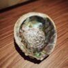 COQUILLE D'ORMEAU