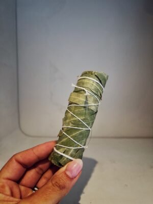 TASSE D'EUCALYPTUS ÉNERGISANTE