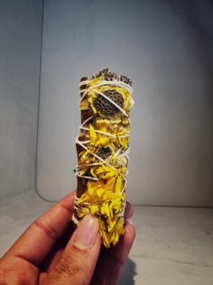 SAUGE ABONDANCE ET PROSPÉRITÉ